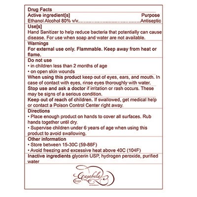 Hand Sanitizer Sprays_back Label (Hand Sanitizer Back Resized)